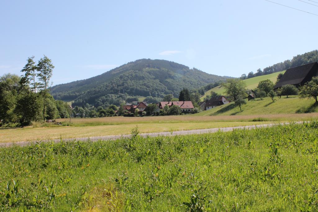 Hôtel Haus Traudel Matt à Elzach Extérieur photo